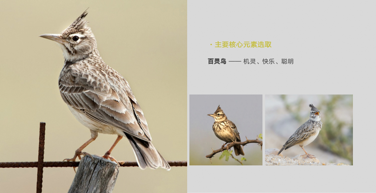 拖把品牌策划设计-品牌命名-logo/vi设计-苏州木鸟家居